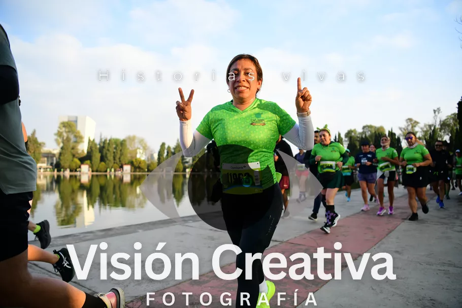 Foto del evento Shrek - CDMX 2026