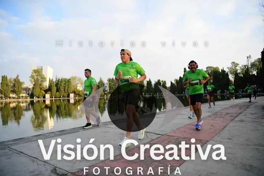 Foto del evento Shrek - CDMX 2026