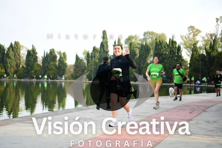 Foto del evento Shrek - CDMX 2026