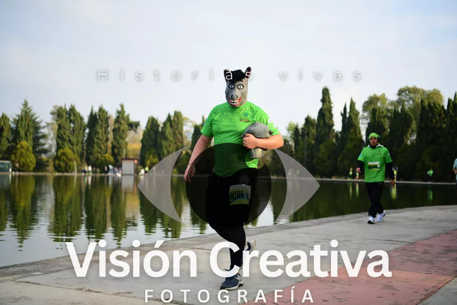 Foto del evento Shrek - CDMX 2026