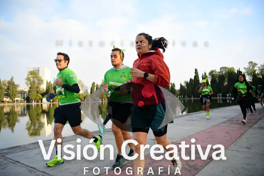Foto del evento Shrek - CDMX 2026
