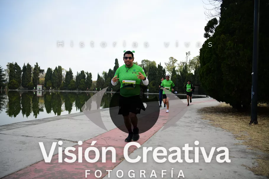 Foto del evento Shrek - CDMX 2026