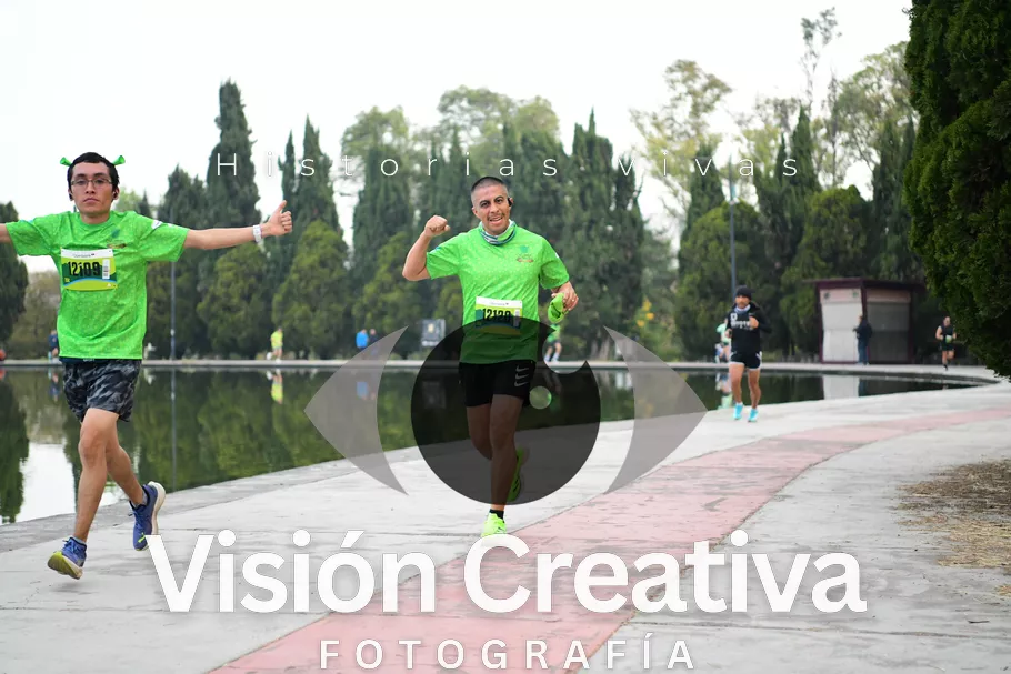 Foto del evento Shrek - CDMX 2026