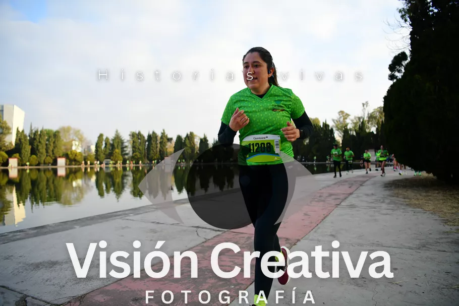 Foto del evento Shrek - CDMX 2026