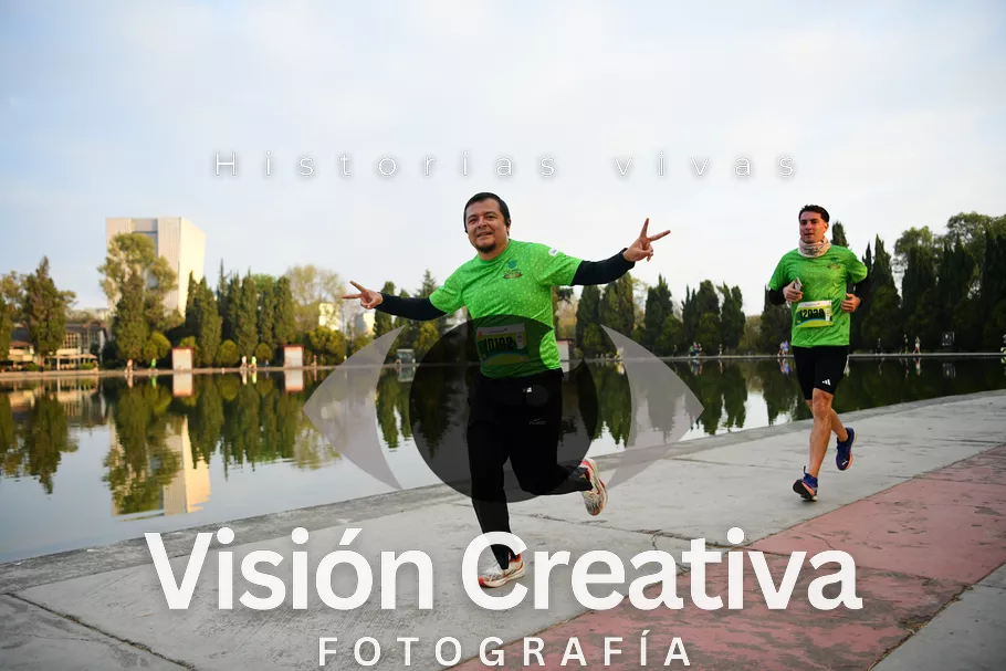 Foto del evento Shrek - CDMX 2026