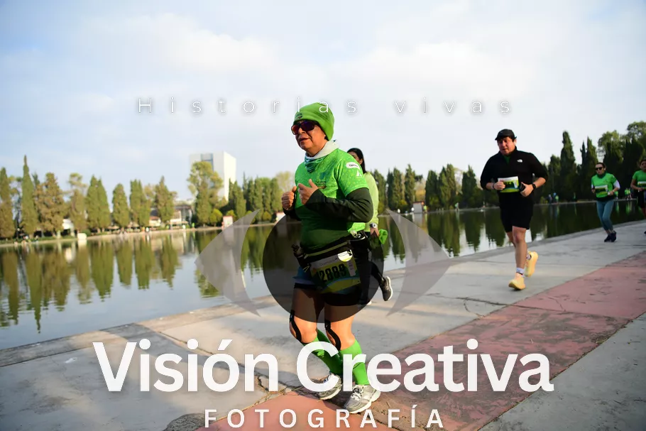 Foto del evento Shrek - CDMX 2026