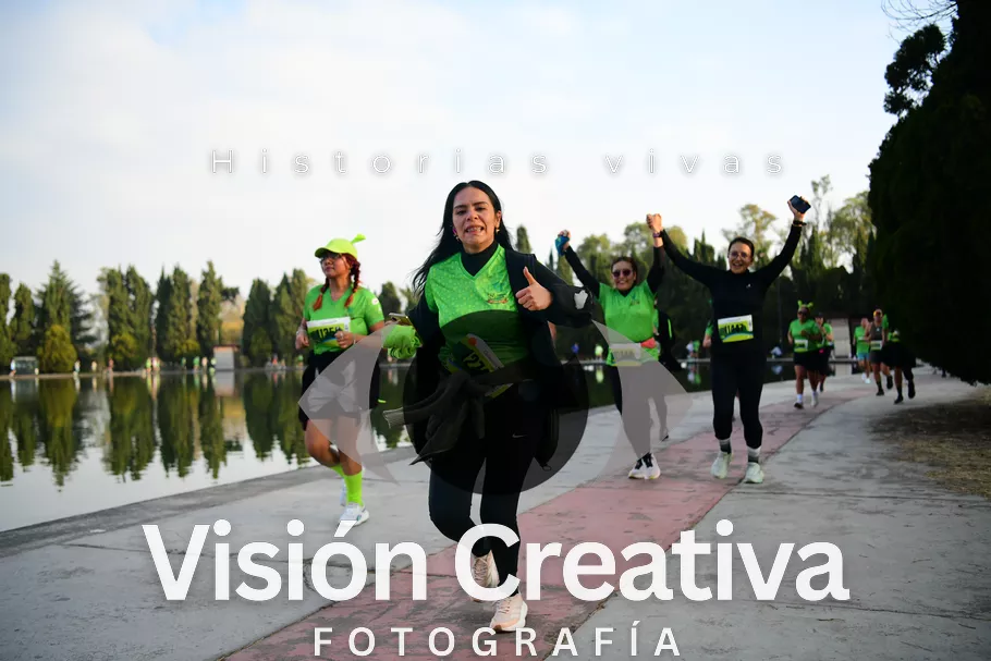 Foto del evento Shrek - CDMX 2026