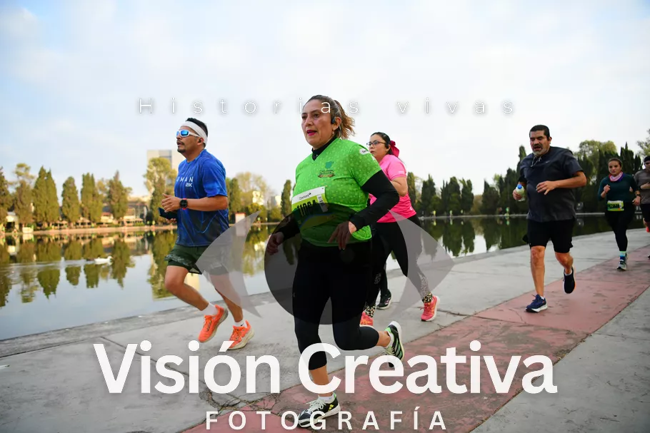Foto del evento Shrek - CDMX 2026