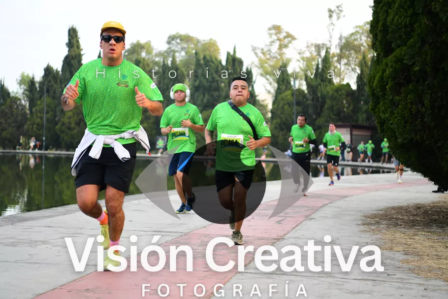 Foto del evento Shrek - CDMX 2026