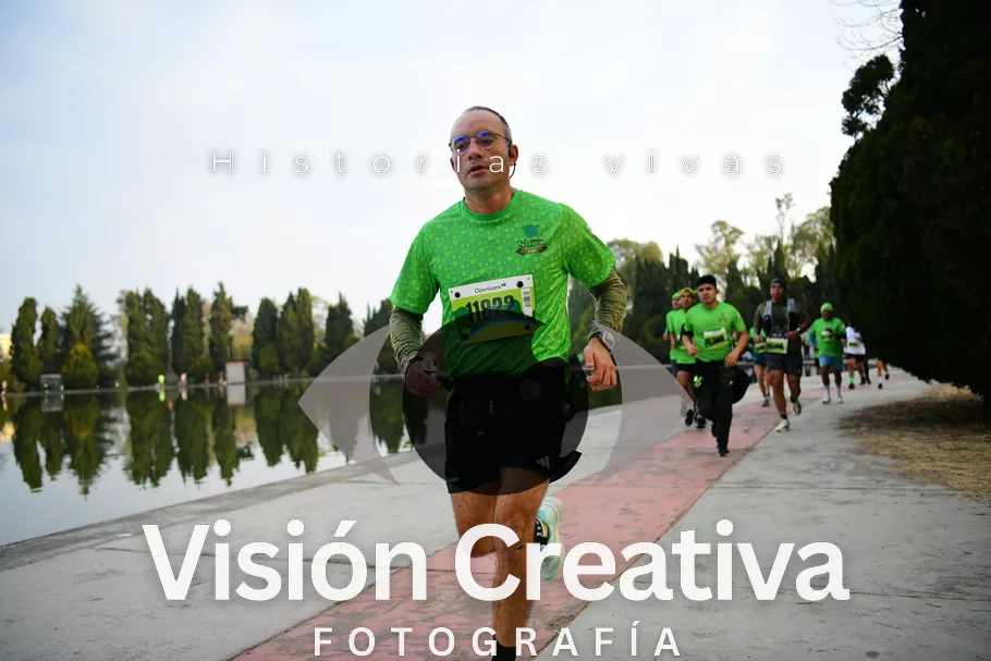 Foto del evento Shrek - CDMX 2026