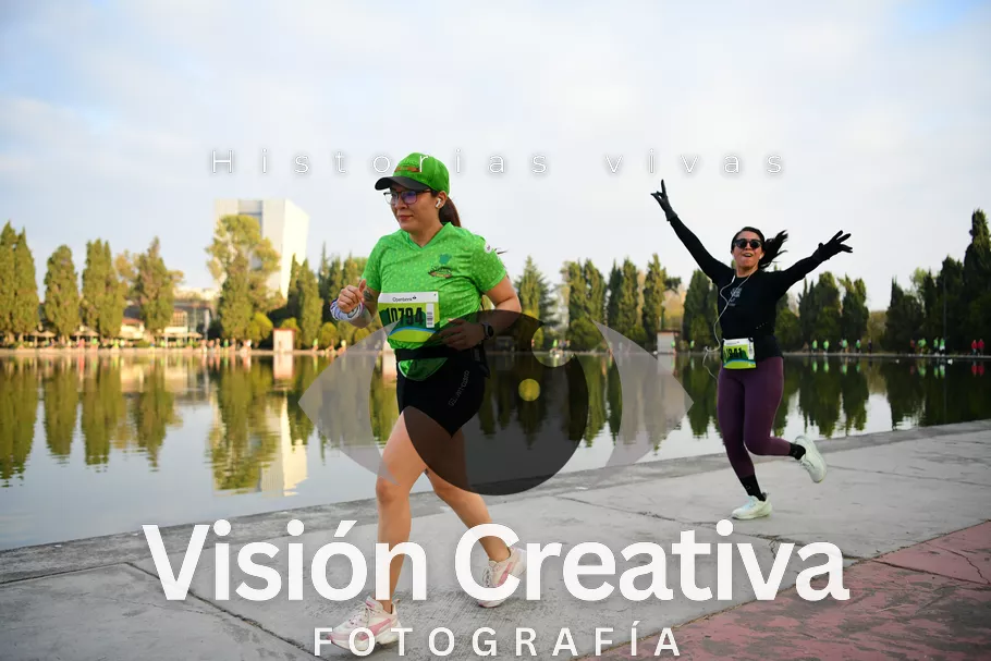 Foto del evento Shrek - CDMX 2026