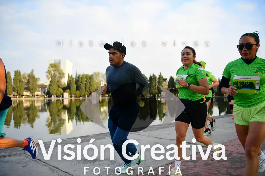 Foto del evento Shrek - CDMX 2026