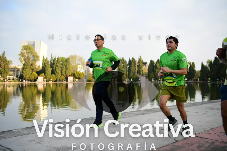 Foto del evento Shrek - CDMX 2026