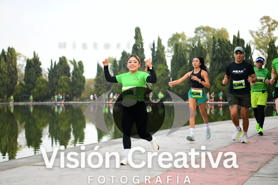 Foto del evento Shrek - CDMX 2026