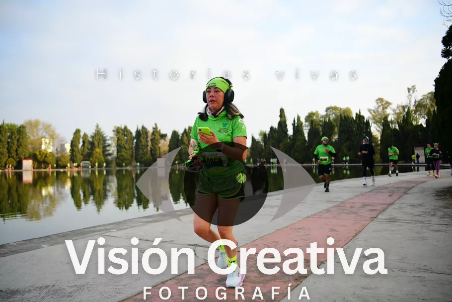 Foto del evento Shrek - CDMX 2026