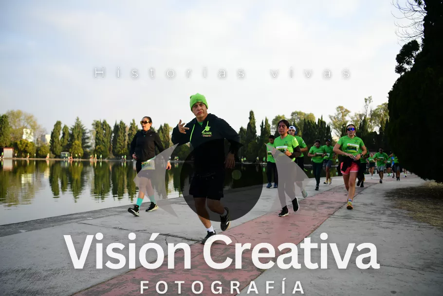 Foto del evento Shrek - CDMX 2026