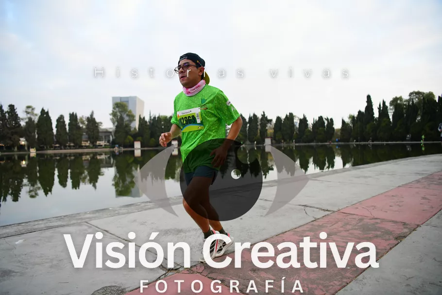 Foto del evento Shrek - CDMX 2026