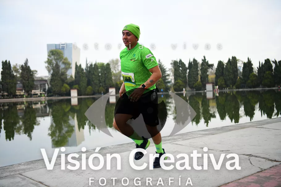 Foto del evento Shrek - CDMX 2026