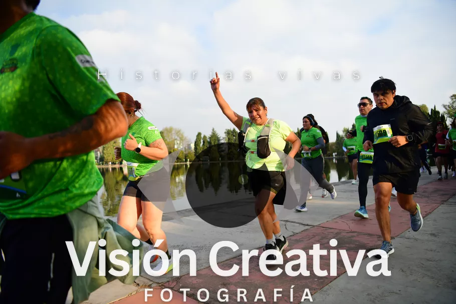 Foto del evento Shrek - CDMX 2026