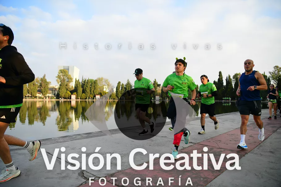 Foto del evento Shrek - CDMX 2026