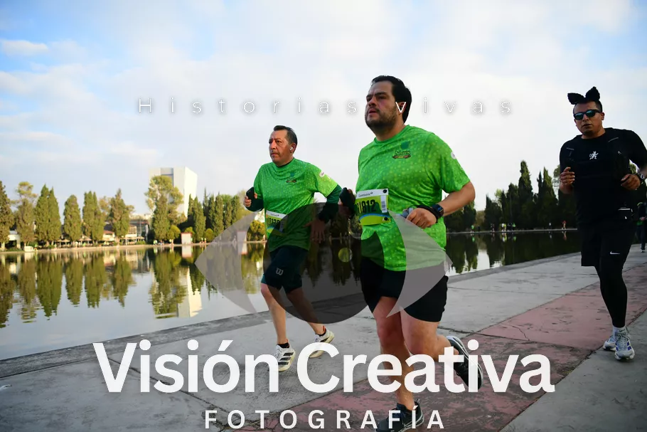 Foto del evento Shrek - CDMX 2026