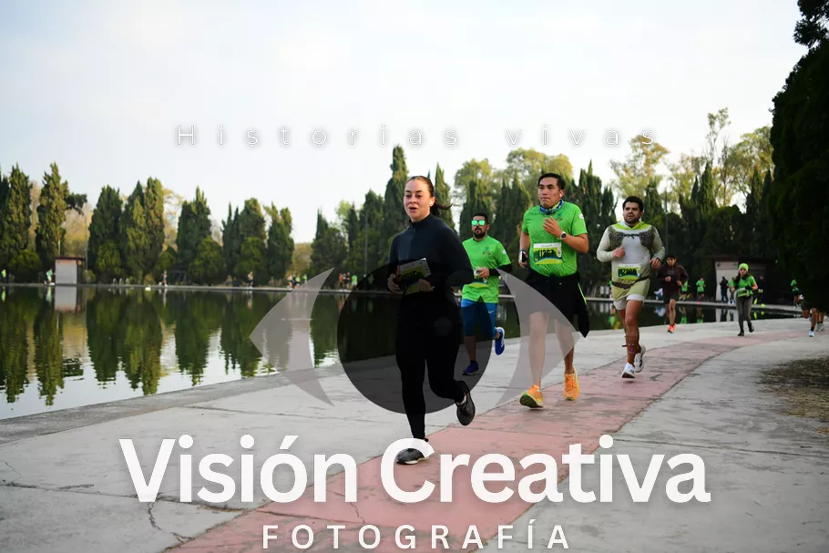 Foto del evento Shrek - CDMX 2026