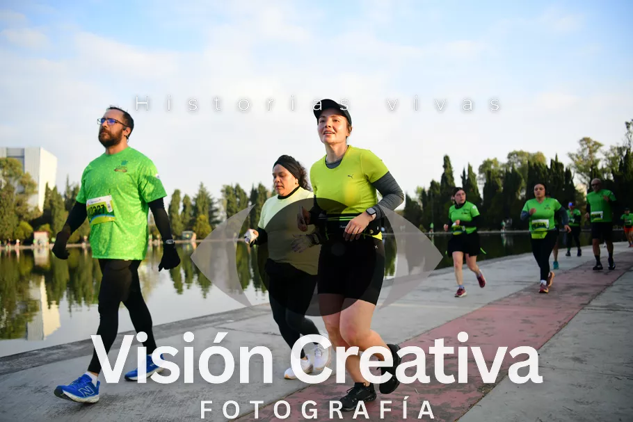Foto del evento Shrek - CDMX 2026
