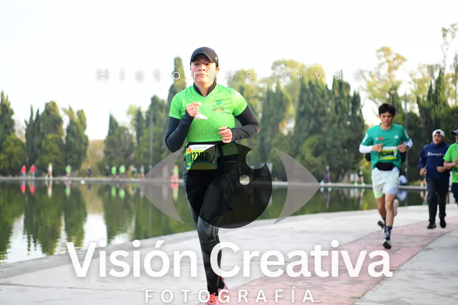 Foto del evento Shrek - CDMX 2026