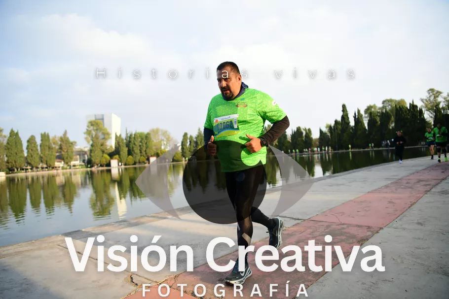 Foto del evento Shrek - CDMX 2026