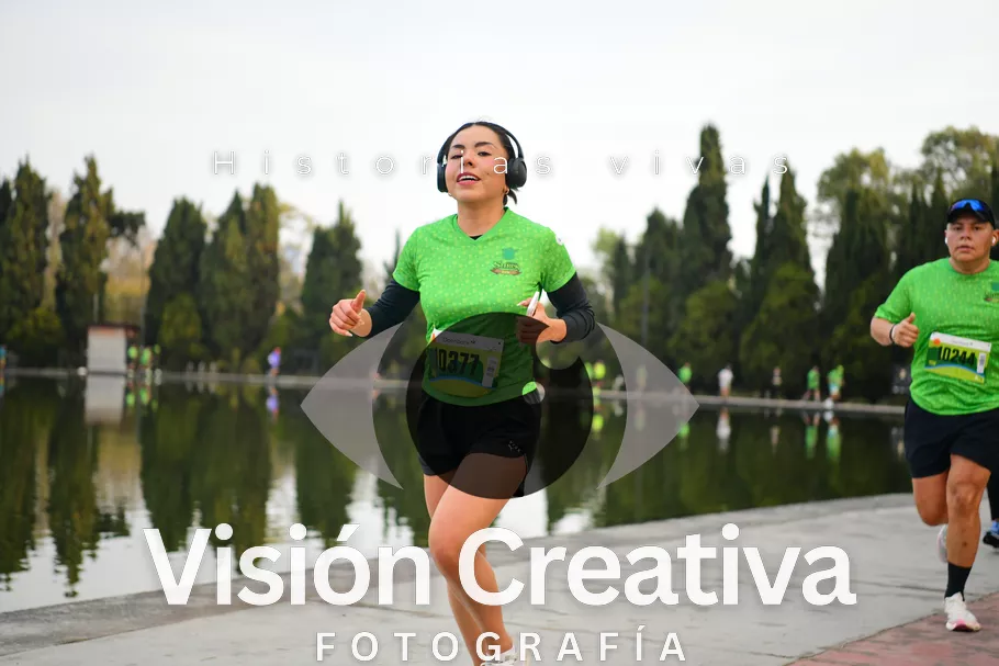 Foto del evento Shrek - CDMX 2026
