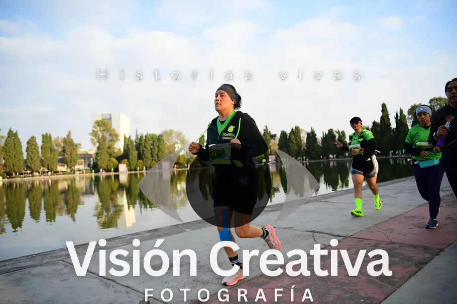 Foto del evento Shrek - CDMX 2026