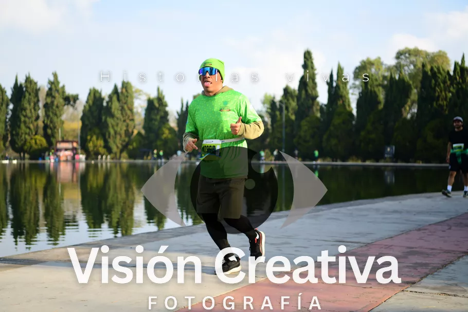 Foto del evento Shrek - CDMX 2026