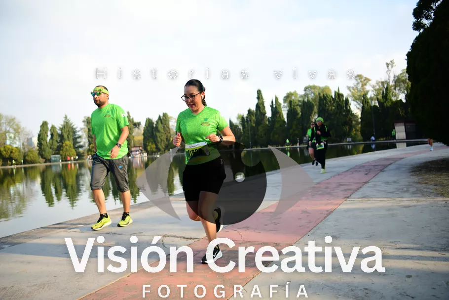Foto del evento Shrek - CDMX 2026