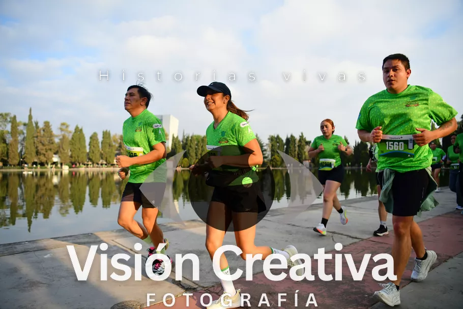 Foto del evento Shrek - CDMX 2026