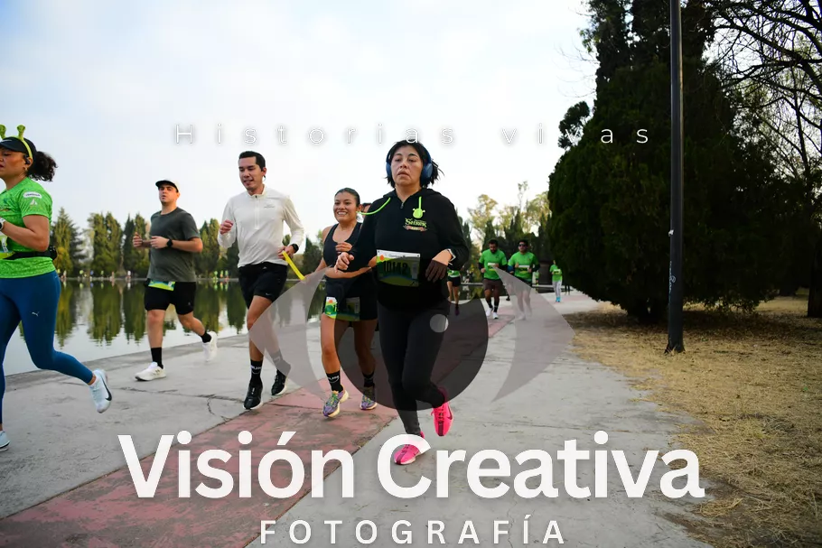 Foto del evento Shrek - CDMX 2026