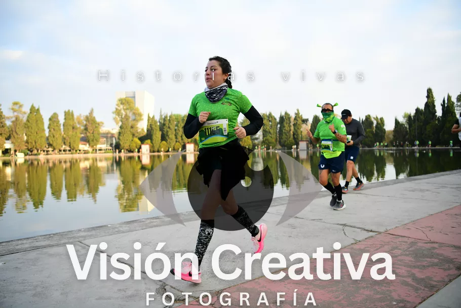 Foto del evento Shrek - CDMX 2026