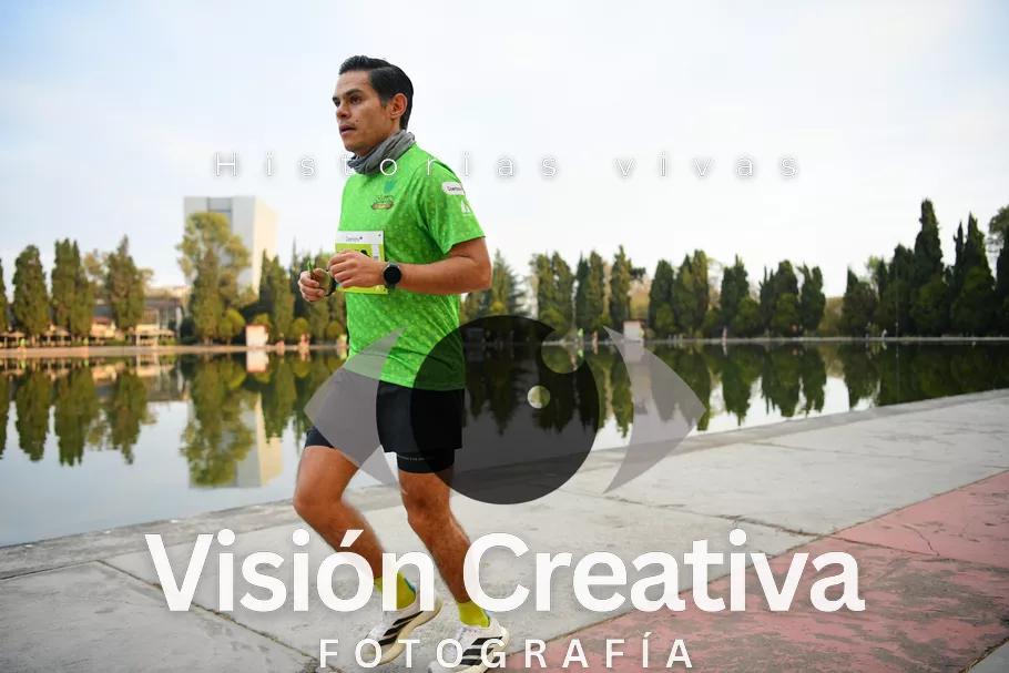 Foto del evento Shrek - CDMX 2026