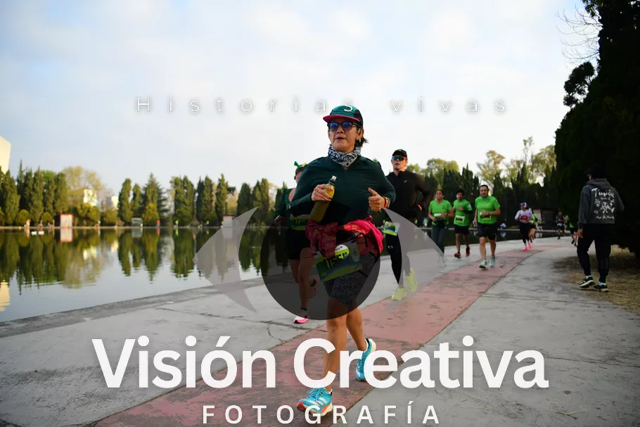 Foto del evento Shrek - CDMX 2026