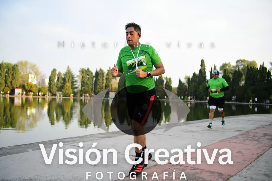 Foto del evento Shrek - CDMX 2026