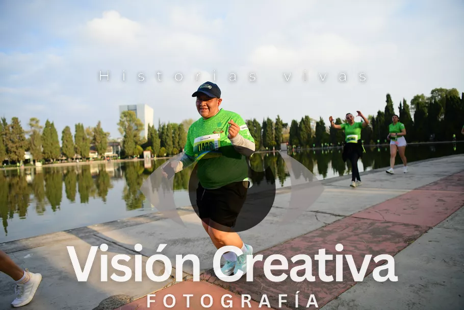 Foto del evento Shrek - CDMX 2026