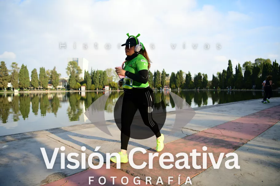 Foto del evento Shrek - CDMX 2026