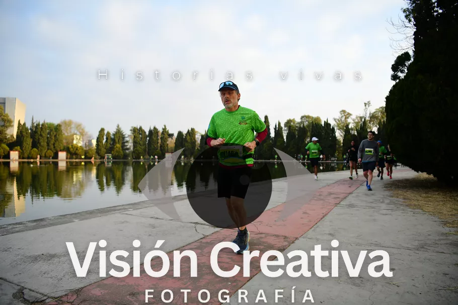 Foto del evento Shrek - CDMX 2026