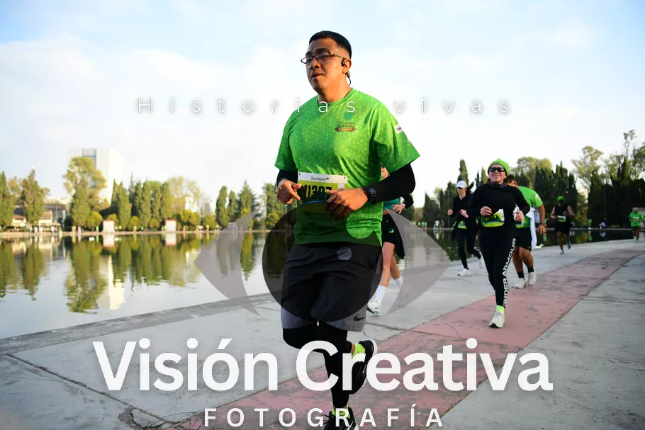 Foto del evento Shrek - CDMX 2026