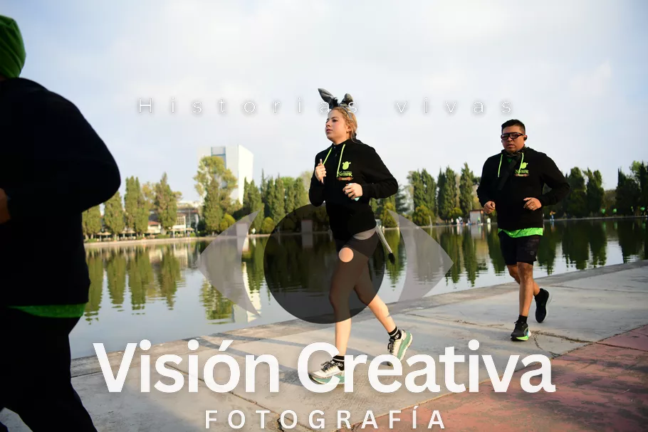 Foto del evento Shrek - CDMX 2026