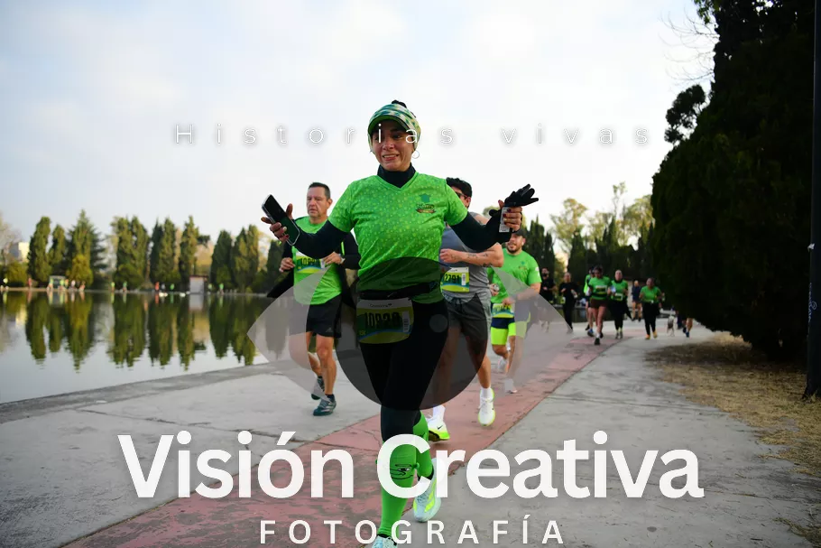 Foto del evento Shrek - CDMX 2026