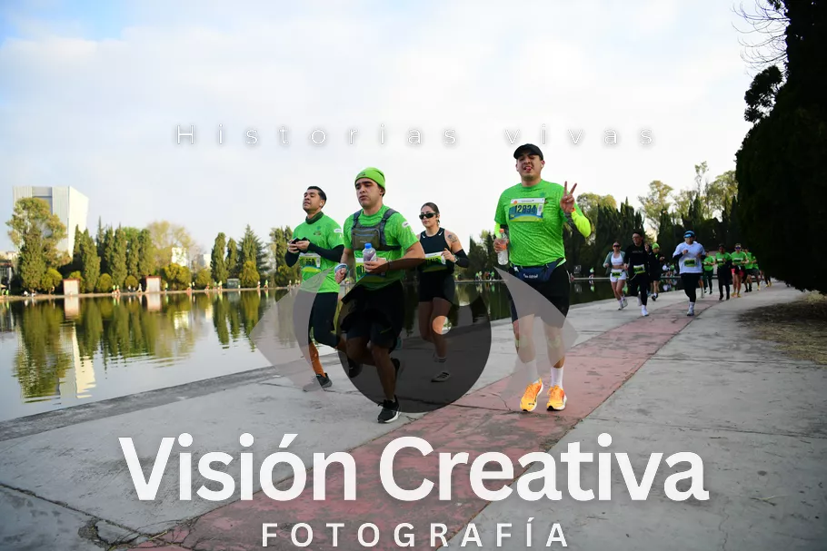 Foto del evento Shrek - CDMX 2026