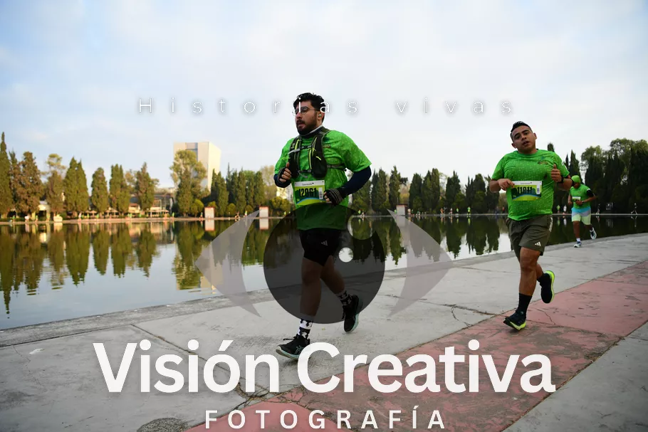 Foto del evento Shrek - CDMX 2026