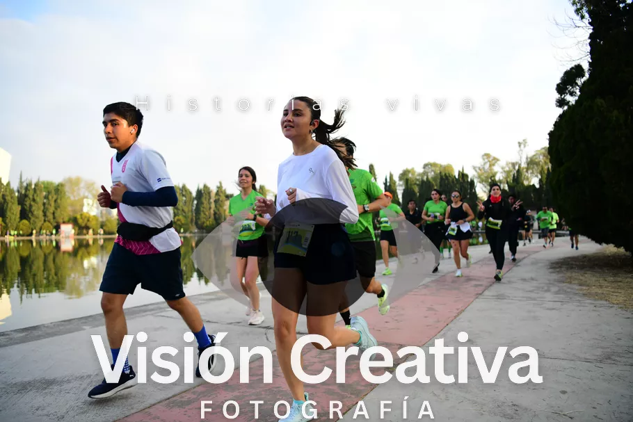 Foto del evento Shrek - CDMX 2026