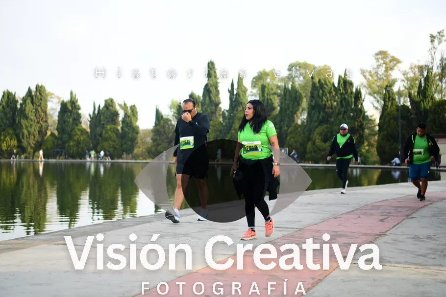 Foto del evento Shrek - CDMX 2026