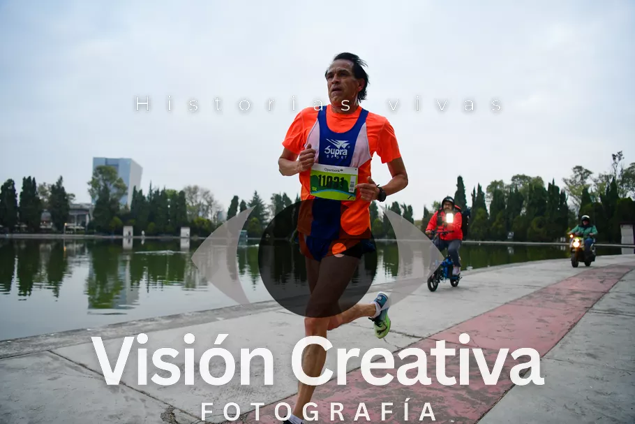 Foto del evento Shrek - CDMX 2026